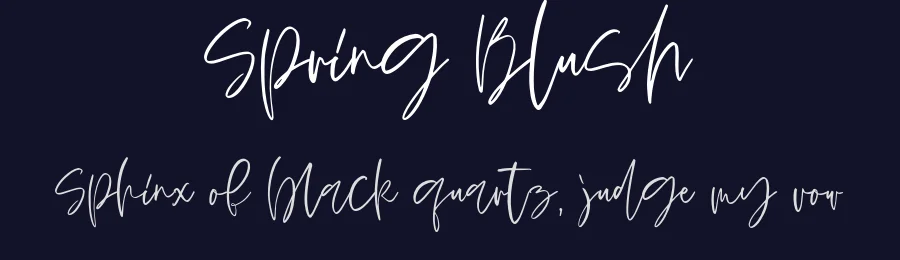 Spring Blush by DmitriyChirkov — Script Handwritten Font — thumbnail 2