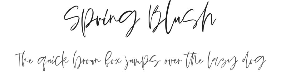 Spring Blush by DmitriyChirkov — Script Handwritten Font