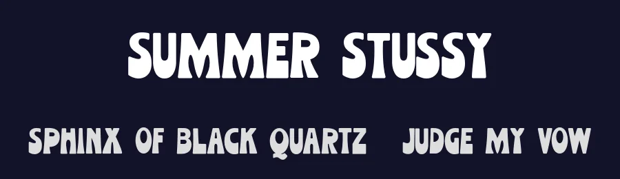 Summer Stussy — Display Font — thumbnail 2
