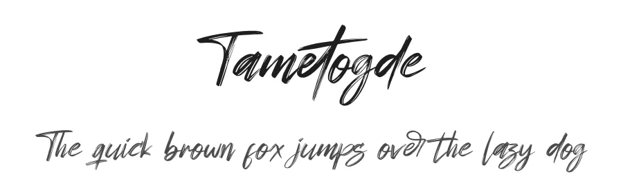 Tametogde by Perspectype Studio — Script Handwritten Font