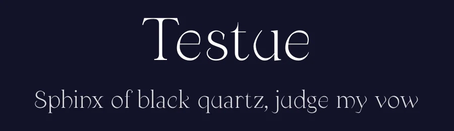 Testue by Bavo Hendrickx — Serif Font — thumbnail 2