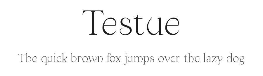 Testue by Bavo Hendrickx — Serif Font