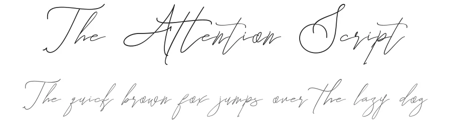 The Attention Script by Aldedesign 2018 — Script Handwritten Font
