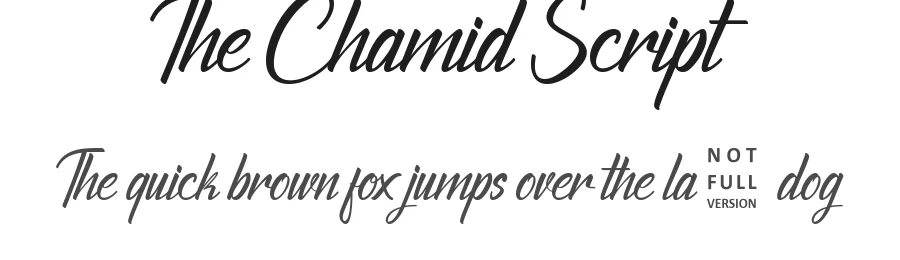 The Chamid Script by Muhammad Faizal Said — Script Handwritten Font