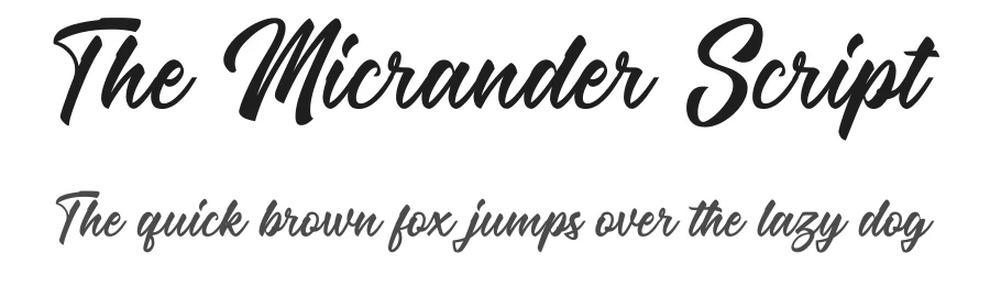 The Micrander Script — Script Handwritten Font