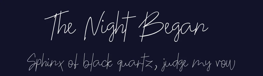 The Night Began — Script Handwritten Font — thumbnail 2