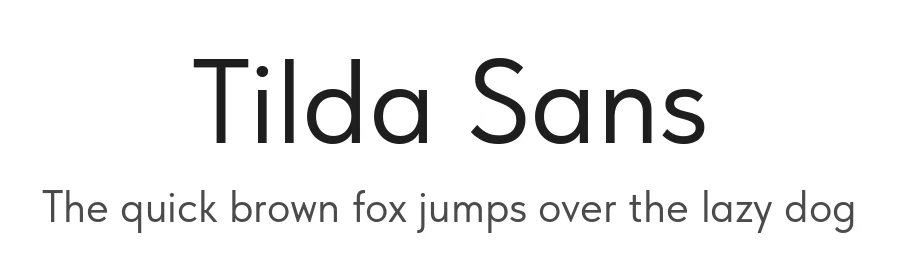 Tilda Sans by ParaType Ltd — Sans Serif Font