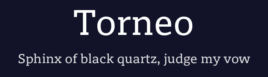 Torneo by CRAMM (Manuel Florez, Karol Yanez, Adderly Bravo, Ricardo Bautista y Cesar Puertas) — Serif Font — thumbnail 2