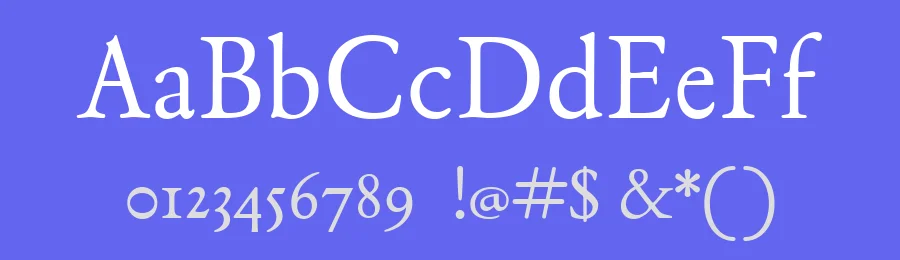 TorreFarfan by Estefania Gonzalez Sanchez — Serif Font — thumbnail 3