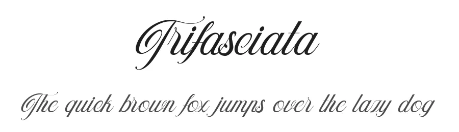 Trifasciata by TypeAliens — Script Handwritten Font