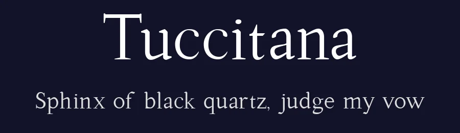 Tuccitana by Ade Ruiher — Serif Font — thumbnail 2