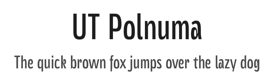UT Polnuma by Muh. Aswar and Andi Syahdang — Sans Serif Font