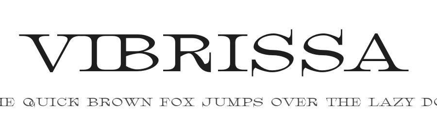 Vibrissa by Justin Penner — Serif Font