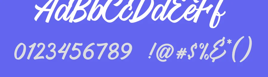 Vigrand Script — Script Handwritten Font — thumbnail 3