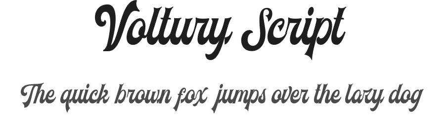 Voltury Script by AnginStudio — Script Handwritten Font