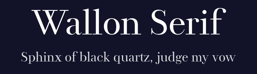 Wallon Serif — Serif Font — thumbnail 2