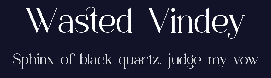Wasted Vindey by Ahmad Muslimin — Serif Font — thumbnail 2