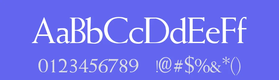 Weise — Serif Font — thumbnail 3