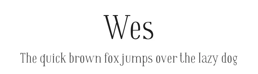 Wes by Yelena Madyankina & Jovanny Lemonad — Serif Font