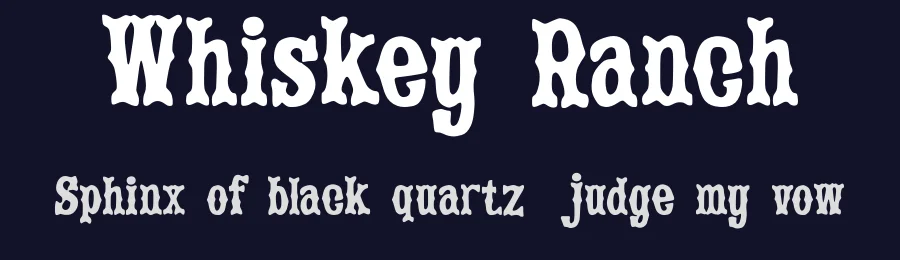 Whiskey Ranch by Ilyas Yasin — Serif Font — thumbnail 2