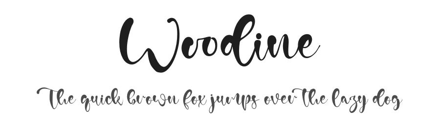 Woodine by Staircase Studio — Script Handwritten Font