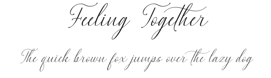 Feeling Together