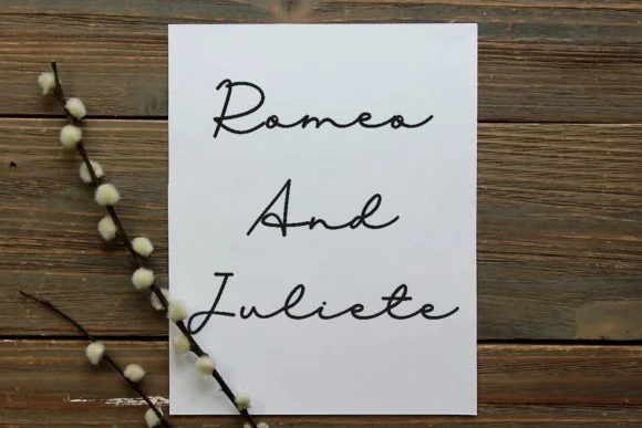 Feminim Font by Pidco.art — Script Handwritten Font — thumbnail 2