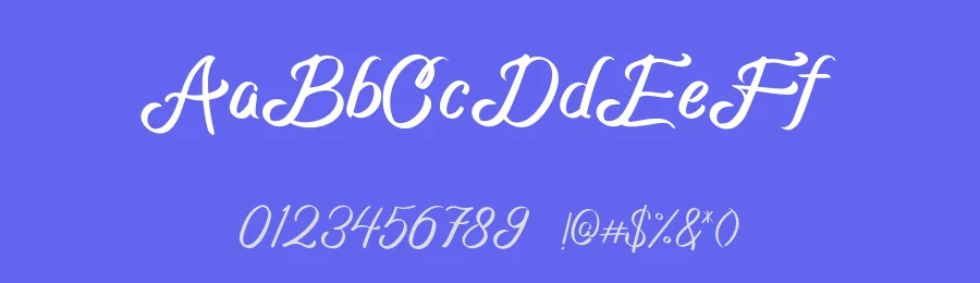 Basheera by Budi Erlangga — Script Font — thumbnail 3