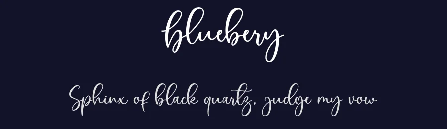 Bluebery by Rayvaldo Rizki Pratama Augusta — Sans Font — thumbnail 2