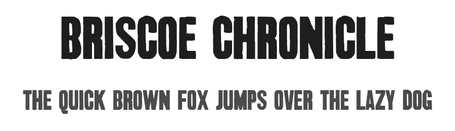 Briscoe Chronicle by Font Monkey — Display Font