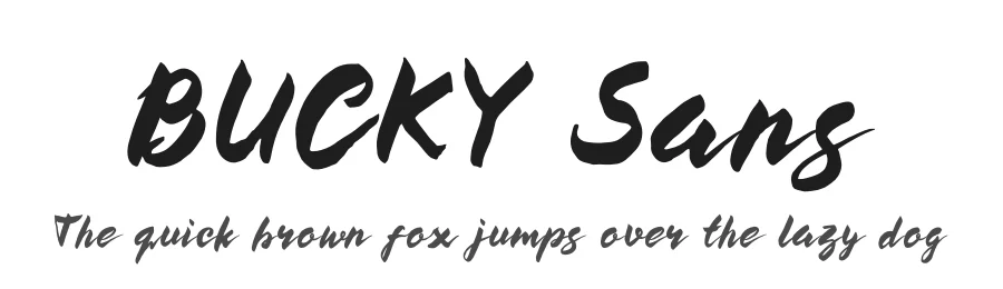 BUCKY Sans by Thomas Joko Purba β Script Font