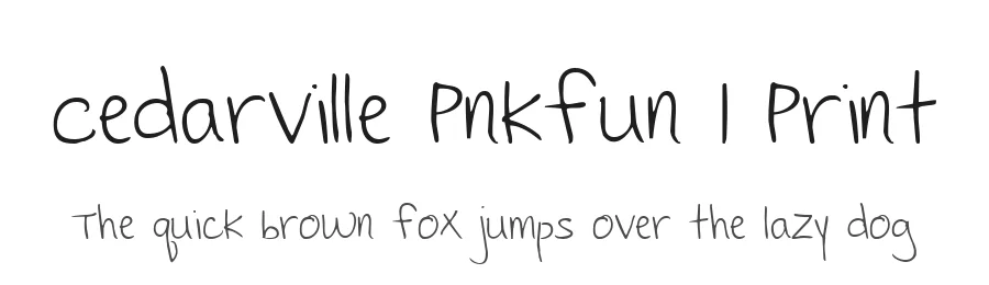 Cedarville Pnkfun 1 Print by Kimberly Geswein — Script Font