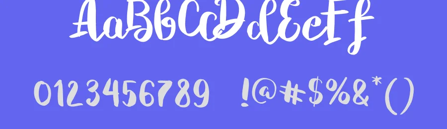Chelsea Brush Script by Debut Studio — Display Font — thumbnail 3