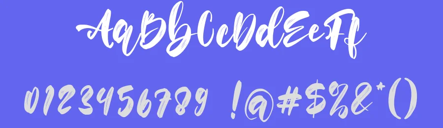 Flower Winter by Aldedesign 2020 (Alde Saputro) — Sans Font — thumbnail 3