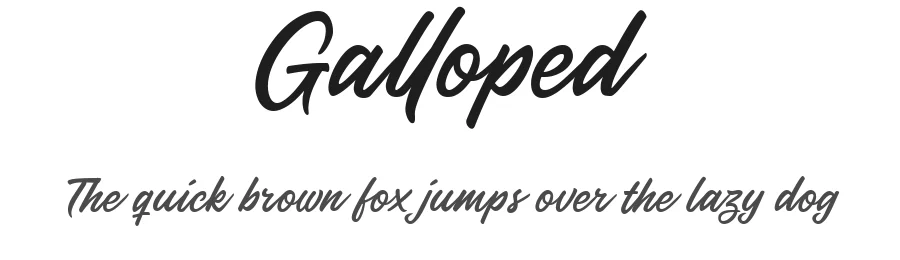 Galloped by Ali Hamidi — Sans Font