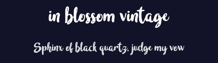 in blossom vintage by Suandana I Pande Made — Display Font — thumbnail 2