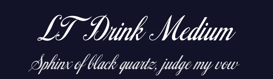 LT Drink Medium by Daniel P. Lyons — Sans Font — thumbnail 2