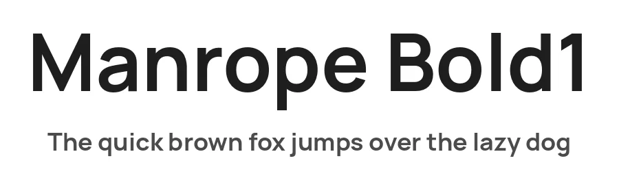 Manrope Bold1 by Mikhail Sharanda — Sans Font