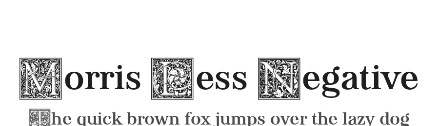 Morris Less Negative by Levi Szekeres — Serif Font