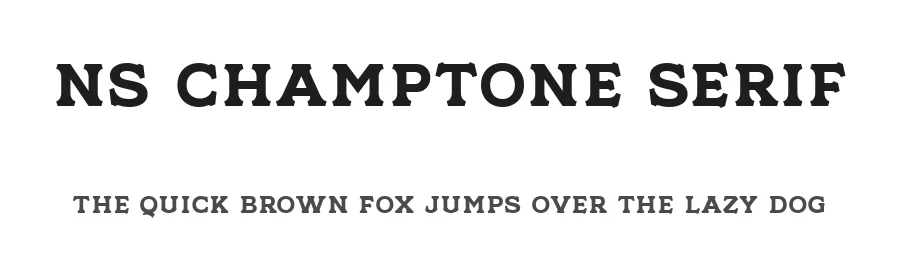 NS Champtone Serif by Novi Ananda — Sans Font