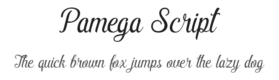 Pamega Script by Aktab Studio — Script Font