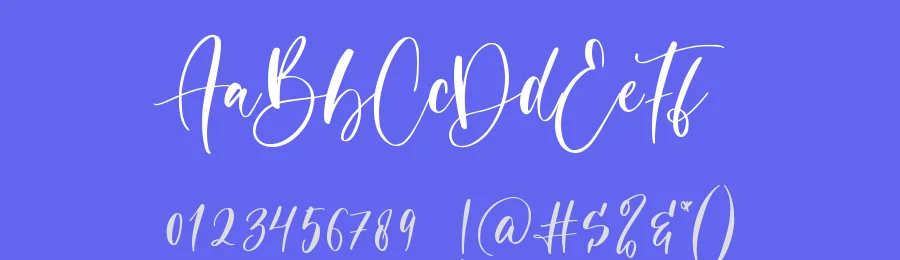 Pashmina by Muhamad Yusron  Billah — Script Font — thumbnail 3