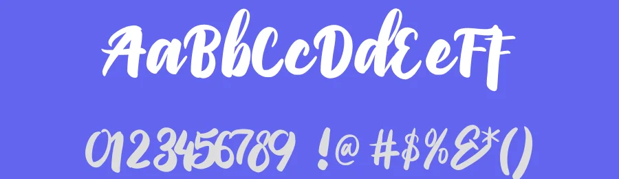PriscilliaScript Medium by Debut Studio — Script Font — thumbnail 3