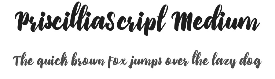 PriscilliaScript Medium by Debut Studio — Script Font