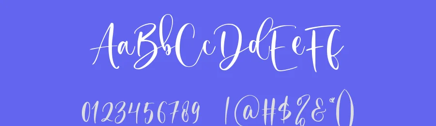 Secret Winter by Muhamad Yusron  Billah — Display Font — thumbnail 3