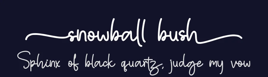 snowball bush by Thomas Aradea — Sans Font — thumbnail 2