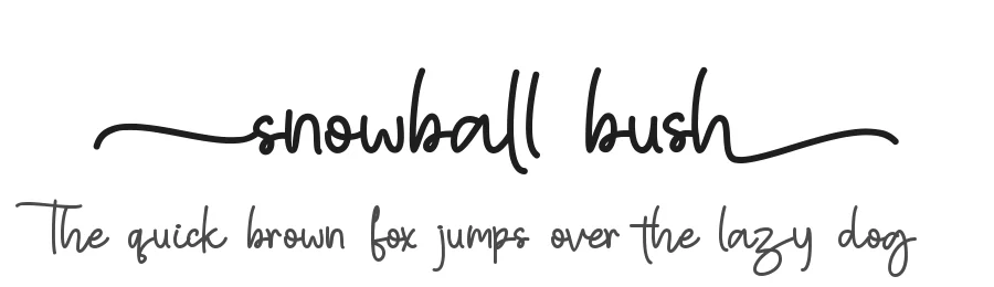 snowball bush by Thomas Aradea — Sans Font