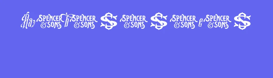 SSAmberosaDemo by Gilang Purnama — Script Font — thumbnail 3