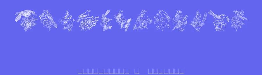 StateBirds — Display Font — thumbnail 3