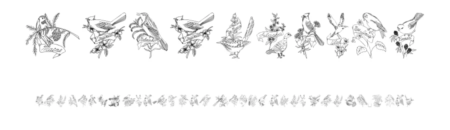 StateBirds — Display Font
